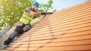 Best Skylight Installation and Repair  in Thunderbolt, GA