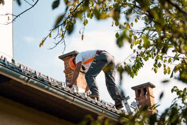 Best Storm Damage Roof Repair  in Thunderbolt, GA