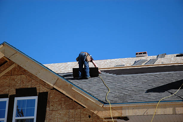 Best Roof Moss and Algae Removal  in Thunderbolt, GA