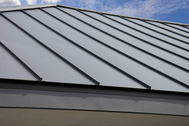 Best Gutter Installation and Repair  in Thunderbolt, GA